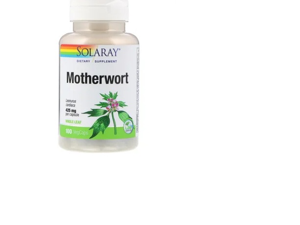 Benefits of Motherwort Supplements